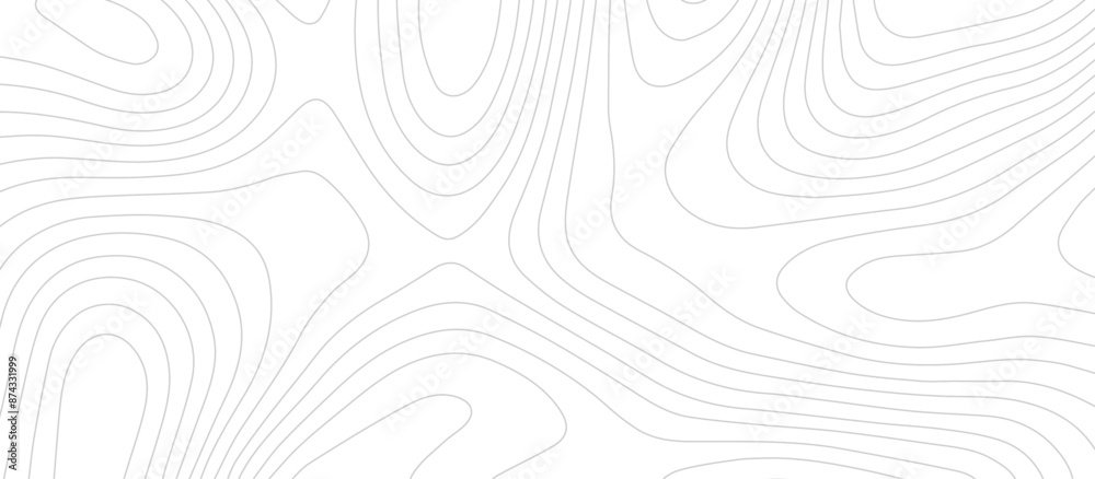 Abstract wave paper curved reliefs background .gradient multicolor wave curve lines banner background design .topographic contours map background .Vector geographic contour map. Abstract wave paper curved reliefs background .gradient multicolor wave curve lines banner background design .topographic contours map background .Vector geographic contour map.