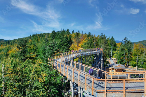 Wooden tourist lookout tower in the treetops at the top of Slotwiny Arena ski station, Krynica-Zdroj, Poland 