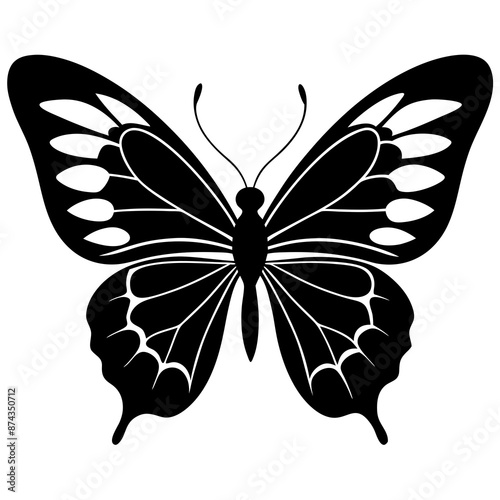 black butterfly silhouette vector illustration.