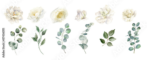 Bilde på lerret White flowers isolated