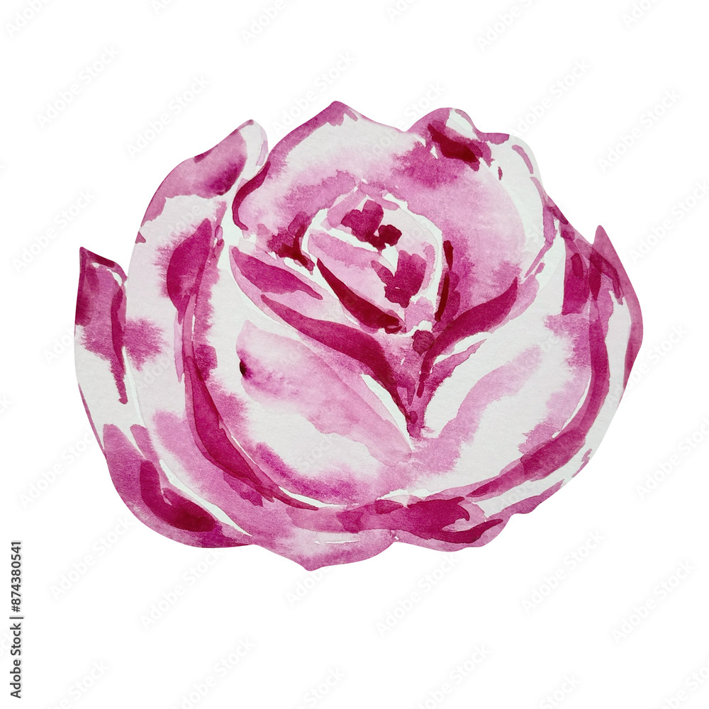 Obraz premium Watercolor pink bloom rose, floral design