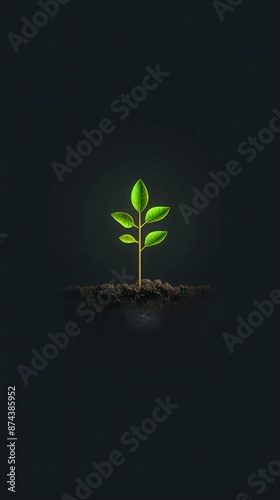 Minimalist illustration of a green sprout emerging from the ground with the word 'ZOC' written below. photo