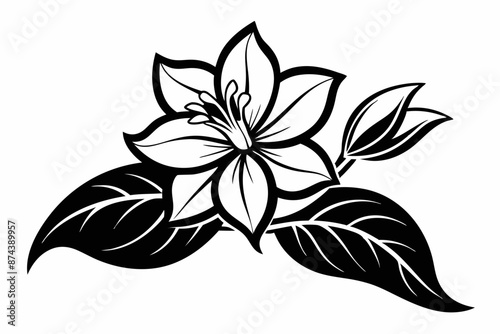 Line Art Jasmine Flower Black Silhouette,jasmine flower, black silhouette, line art, flower silhouette, jasmine vector, floral design, black and white, minimalist flower, botanical art.