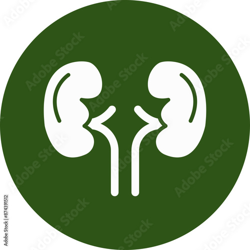 Kidneys Glyph Green Circle Icon