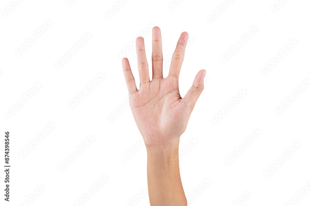 Open hand palm bare hand pose isolated transparent Open hand palm bare hand pose isolated transparent
