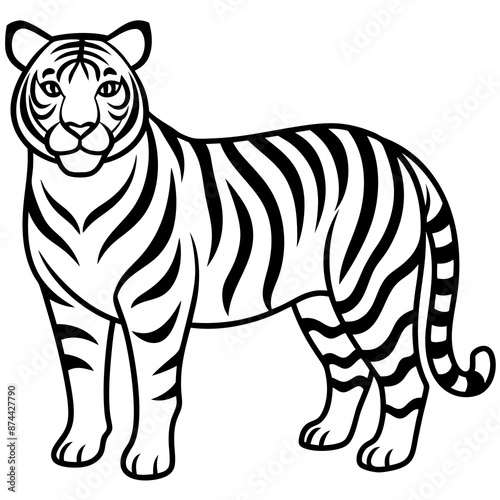 Tiger coloring pages black and white © Chayon Sarker