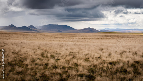 landscape in the mountains