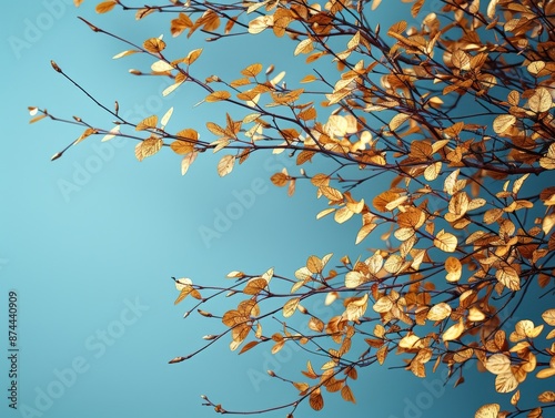 Golden leaves on branches against a turquoise background © Nataliya