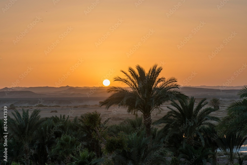Picturesque desert landscape with palm trees at sunset, featuring a golden sky and distant mountains Picturesque desert landscape with palm trees at sunset, featuring a golden sky and distant mountains