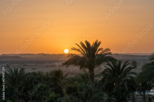 Picturesque desert landscape with palm trees at sunset, featuring a golden sky and distant mountains