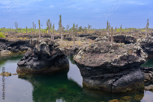 Paisaje marino de lava - Túneles - Isla Isabela - Islas Galápagos - Ecuador