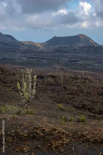 Paisaje volcánico desértico - Volcán Sierra Negra - Isla Isabela - Islas Galápagos - Ecuador