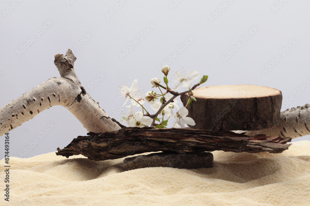 Dry wooden circle stump, birch branch snag log podium platform on beige sand background. Minimal empty display product presentation scene. Dry wooden circle stump, birch branch snag log podium platform on beige sand background. Minimal empty display product presentation scene.