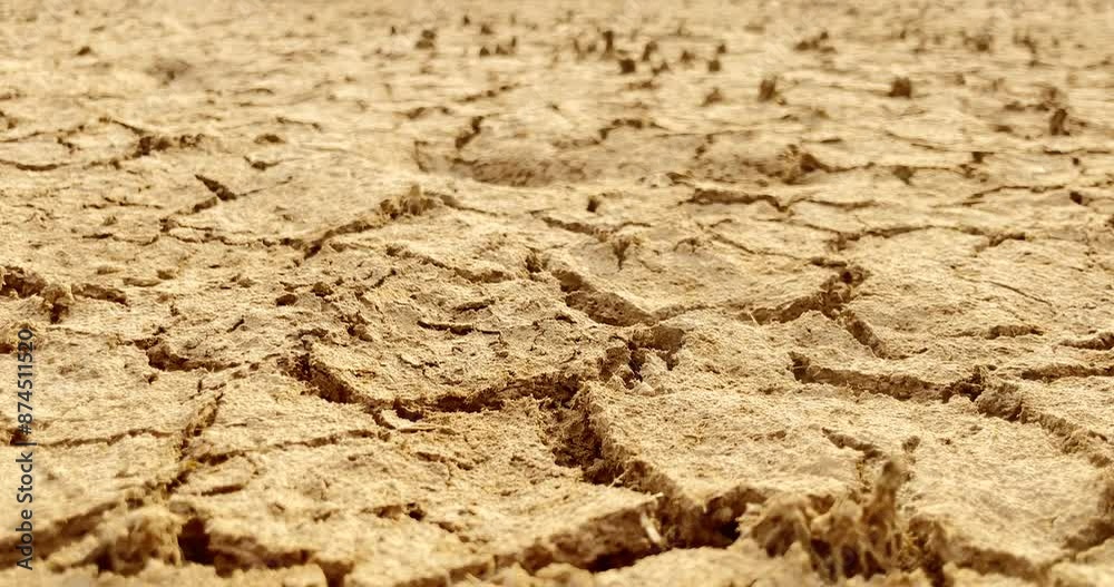 dry cracked earth dry cracked earth