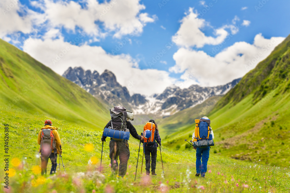 Obraz premium A group of tourists go on a mountain hike through Alpine meadows. Summer outdoor activities. Active lifestyle