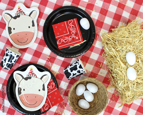 On The Farm Cowboy Ranch Theme Unisex Boys Girls Kids Childrens Birthday Party Set Up On Table Flatlay