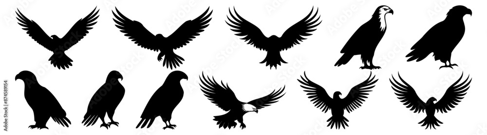 Obraz premium Eagle silhouette set vector design big pack of illustration and icon