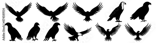 Eagle silhouette set vector design big pack of illustration and icon