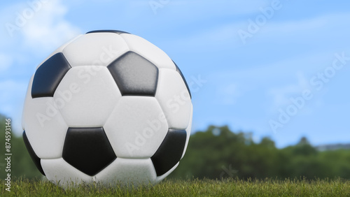 black and white soccer ball is still on the playing field, health and sports theme, 3d illustration