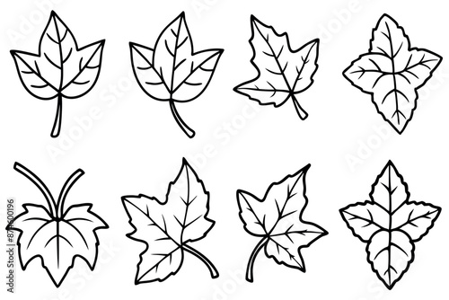 Ivy leaf line art design illustration graceful vines