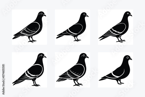 Wallpaper Mural Pigeon Silhouette vector illustration black and white  Torontodigital.ca