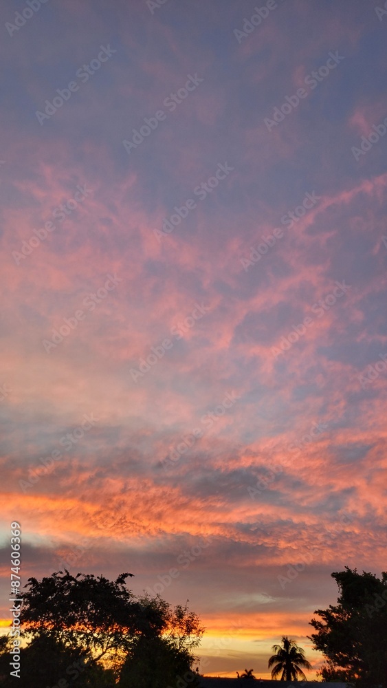 sunset sunset