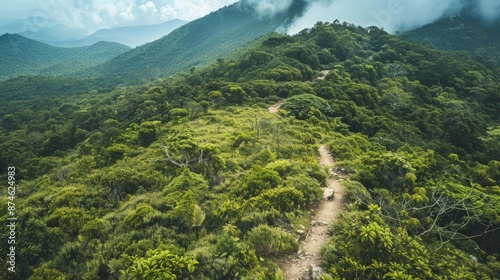path that ascends a mountain covered with vegetation generative ai