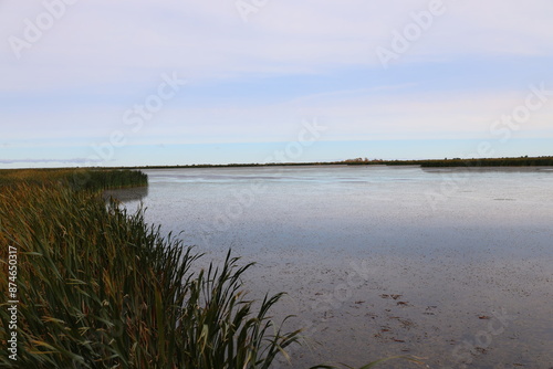 prairie marsh land under partly cloudy skies