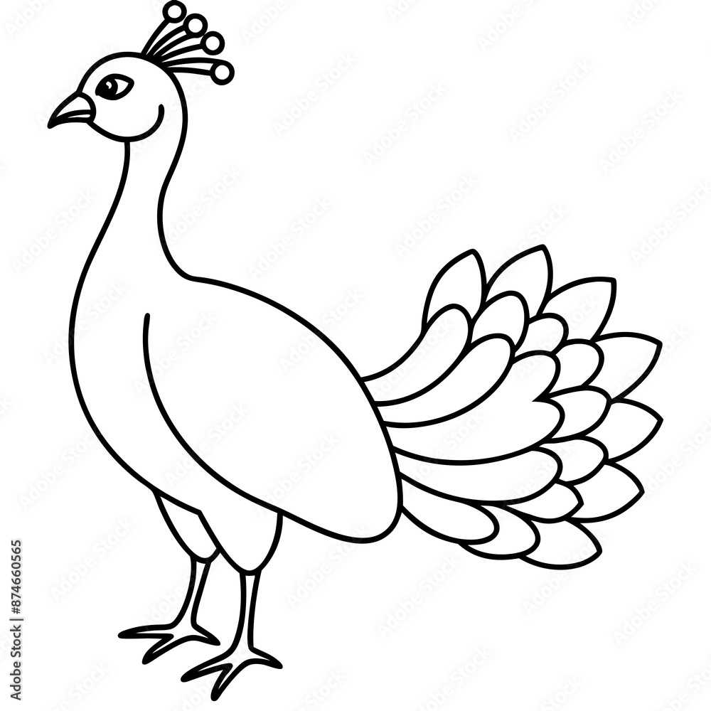 Fototapeta premium illustration of a peacock vector art illustration