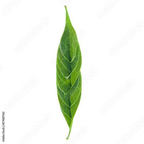 Green tea leaves Transparent Background Images 