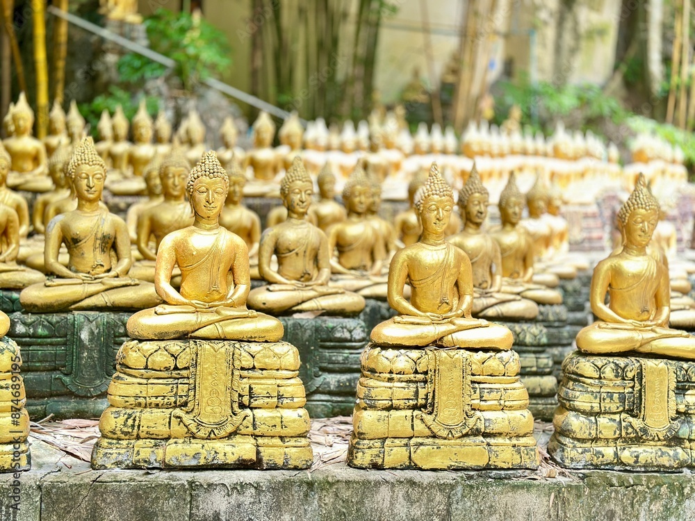 Obraz premium 1,000 buddha statues in a row