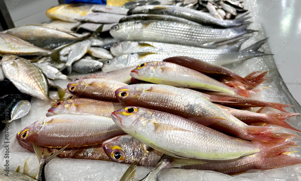 pink perch fish displayed on ice, with distinct pink and silver coloration. Their yellow eyes and smooth scales indicate freshness. Other fish varieties are neatly arranged alongside them pink perch fish displayed on ice, with distinct pink and silver coloration. Their yellow eyes and smooth scales indicate freshness. Other fish varieties are neatly arranged alongside them