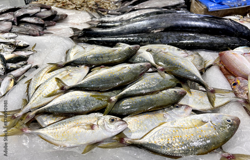 Fototapeta premium Fresh spotted trevally fish displayed in a market setting.