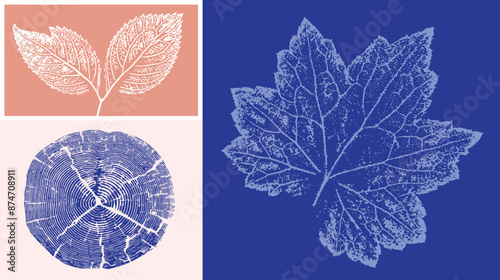 Decorative leaf prints and wood block prints. Monotone pink and blue botanical impression tree rings print.