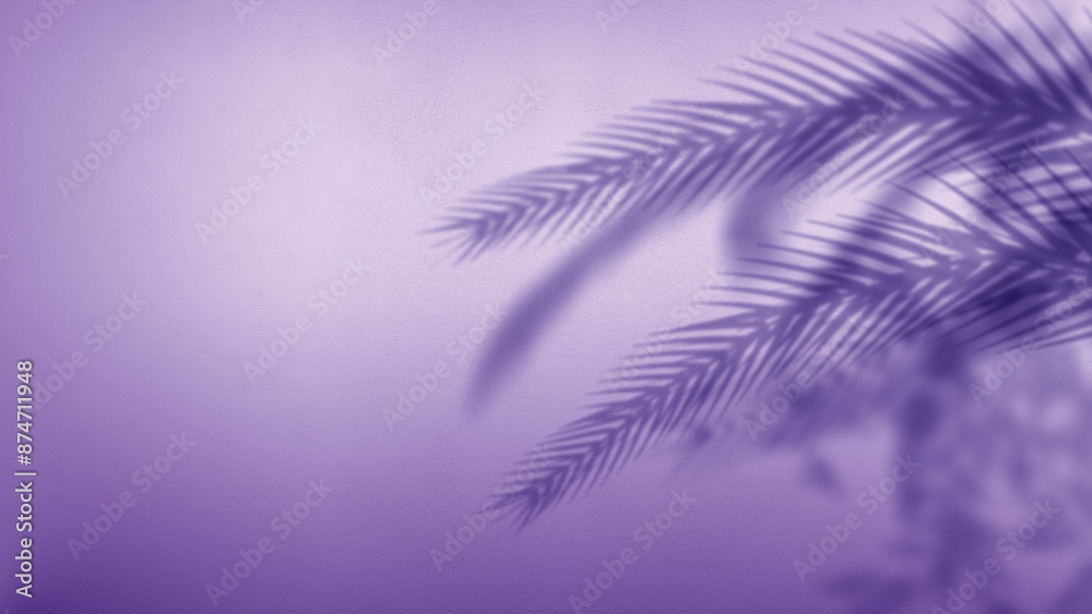 Palm Trees Shadow on the Wall Background Palm Trees Shadow on the Wall Background