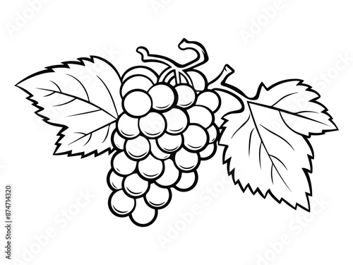 line art of grapes