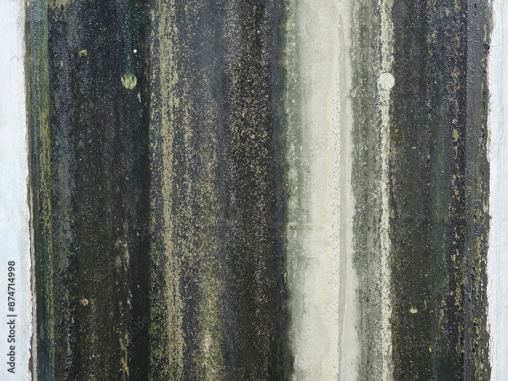 Fototapeta premium closeup of a cement wall covered with moss.