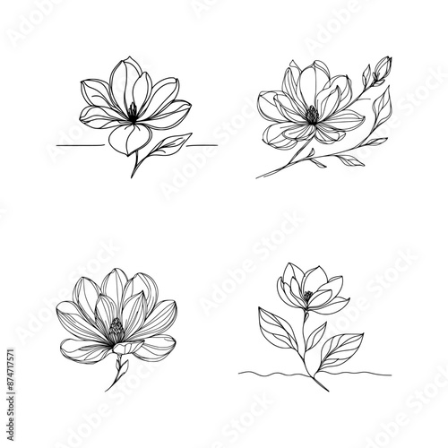 vector set of magnolia flower - line drawing sketch