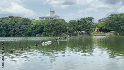 Wallpaper Mural water, lake, sky, river, landscape, nature, city, house, travel, summer, park, tree, trees, tourism, clouds Torontodigital.ca