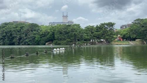 Wallpaper Mural water, lake, sky, river, landscape, nature, city, house, travel, summer, park, tree, trees, tourism, clouds Torontodigital.ca