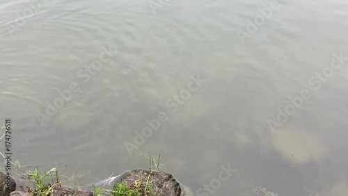 Wallpaper Mural water, lake, sky, river, landscape, nature, city, house, travel, summer, park, tree, trees, tourism, clouds Torontodigital.ca