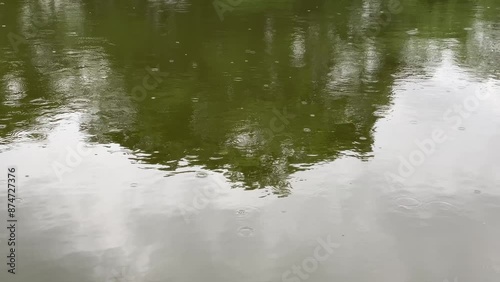 Wallpaper Mural water, lake, nature, river, sky, pond, tree, trees, summer, green, scenic, stream, abstract, spring, forest,rain Torontodigital.ca