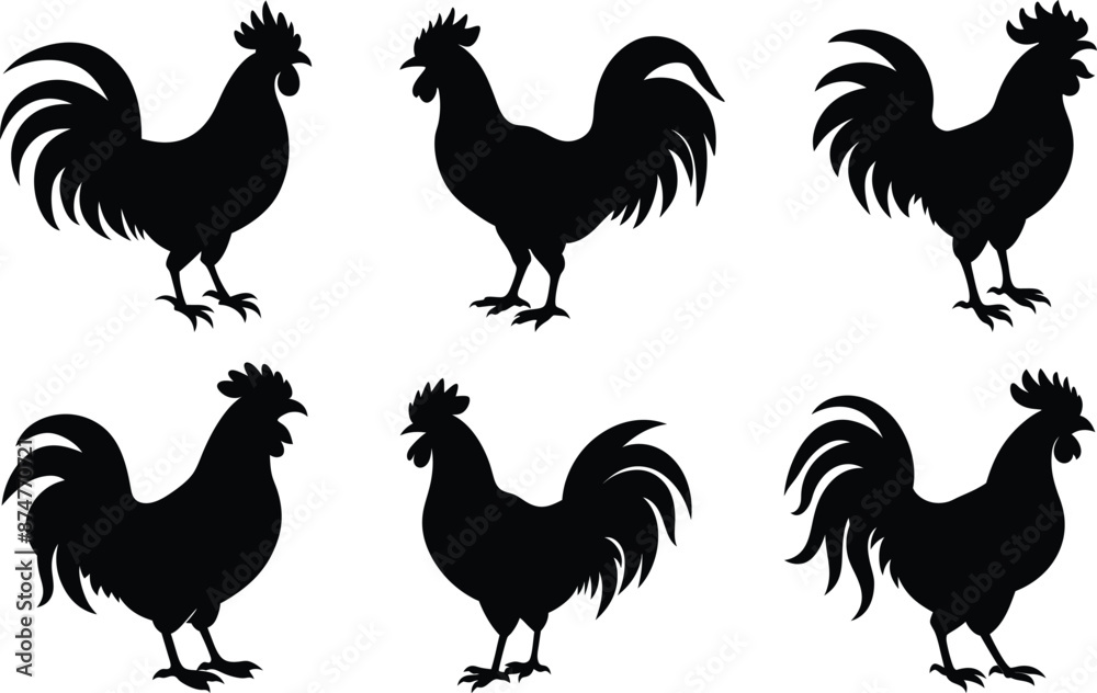 Fototapeta premium Roster silhouette collection on white background