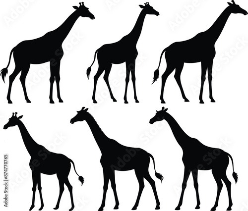 Set of giraffe silhouette collection isolated white background