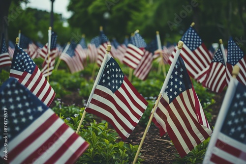 American flags waving at local celebration