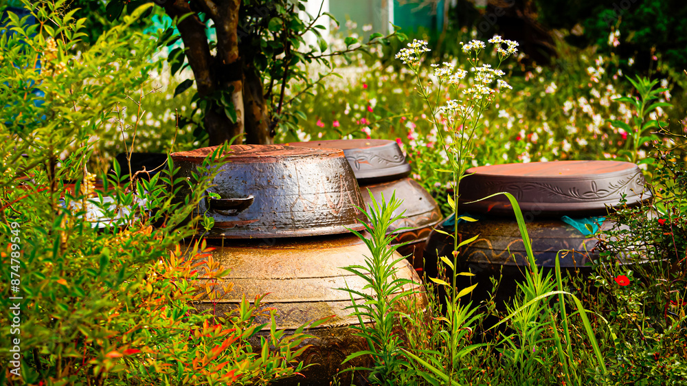 A landscape of Jangdokdae overgrown with weeds. A landscape of Jangdokdae overgrown with weeds.