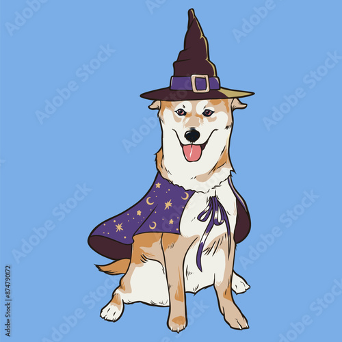 halloween wizard shiba inu dog
