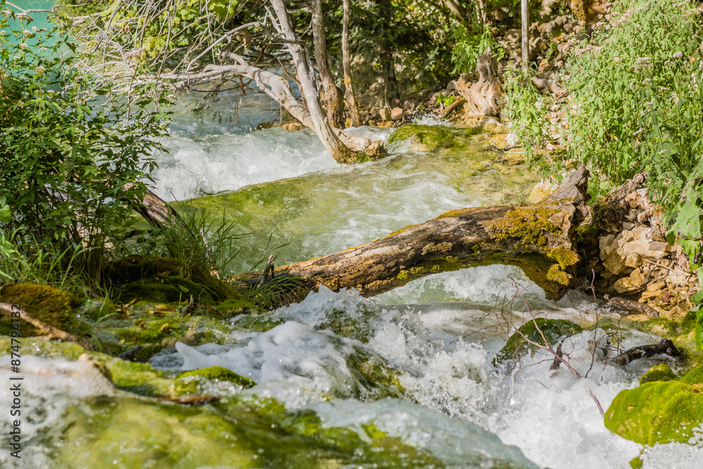Water flowing through a forest, with moss-covered rocks and surrounding greenery, in Croatia Water flowing through a forest, with moss-covered rocks and surrounding greenery, in Croatia