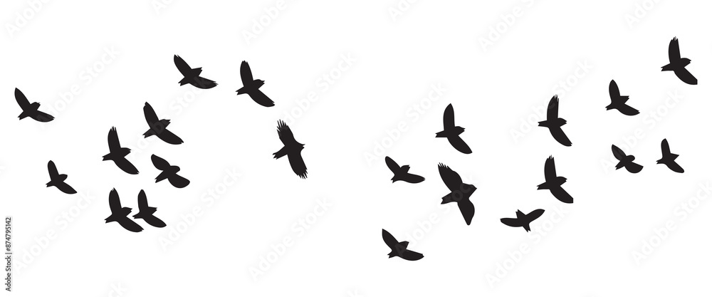 Fototapeta premium Flying birds silhouettes on white background. Vector illustration. isolated bird flying