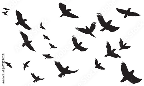 Set of silhouette flying bird white background